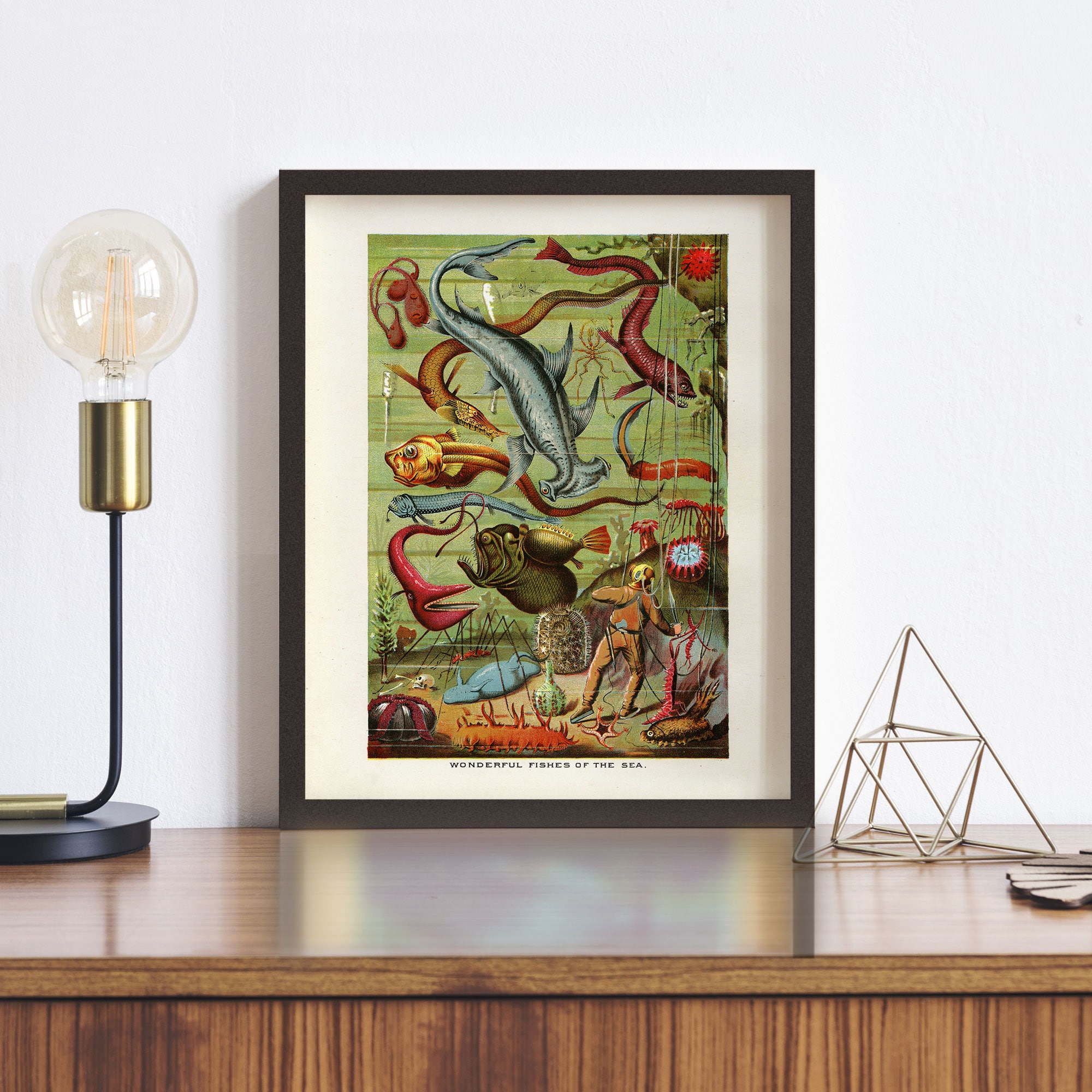 Scuba Diver Print • Antique Fish Wall Art • 5 Sizes! • Vintage Aquatic ...