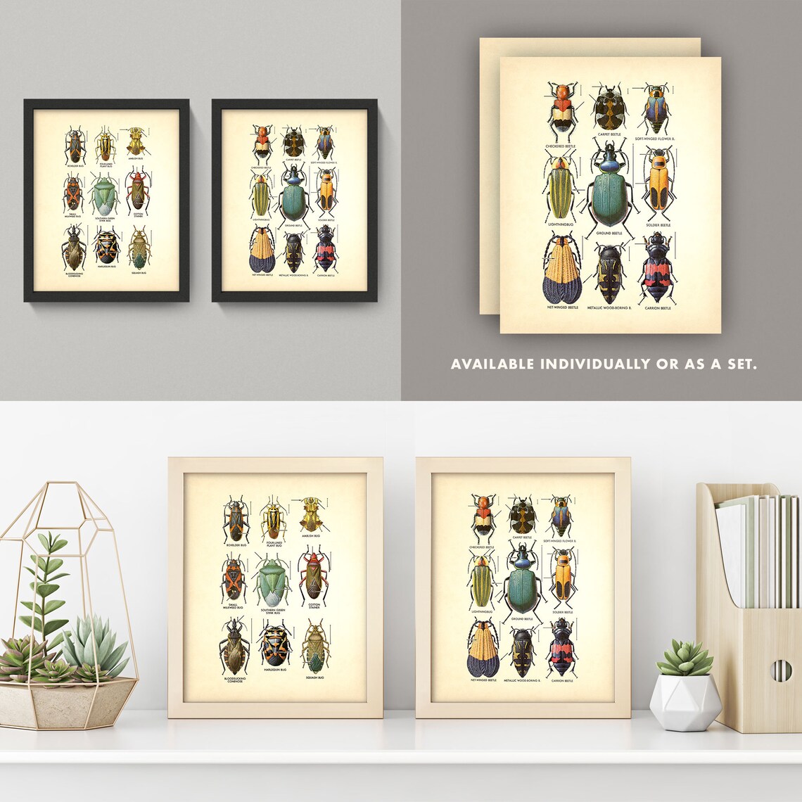 Beetles Diptych • Vintage Insect Charts • Individually or Buy as a Set ...