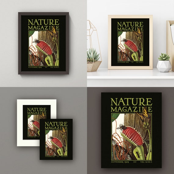 Venus Flytrap Print • Vintage Venus Flytrap Poster • 4 Sizes! 8X10