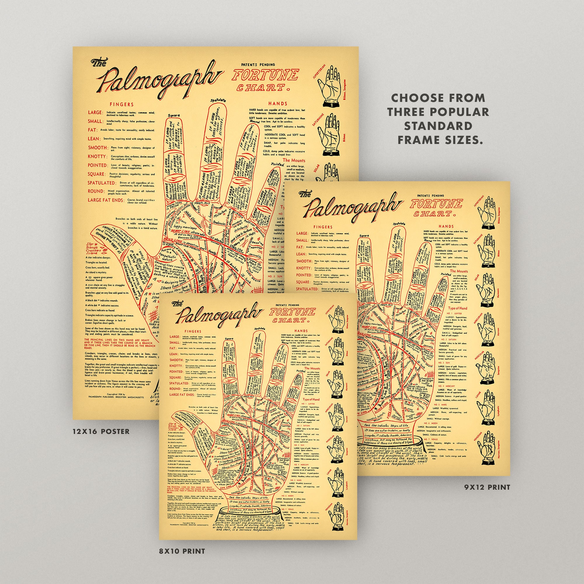 Vintage Palmistry Chart 5 Sizes Fortune Telling Etsy