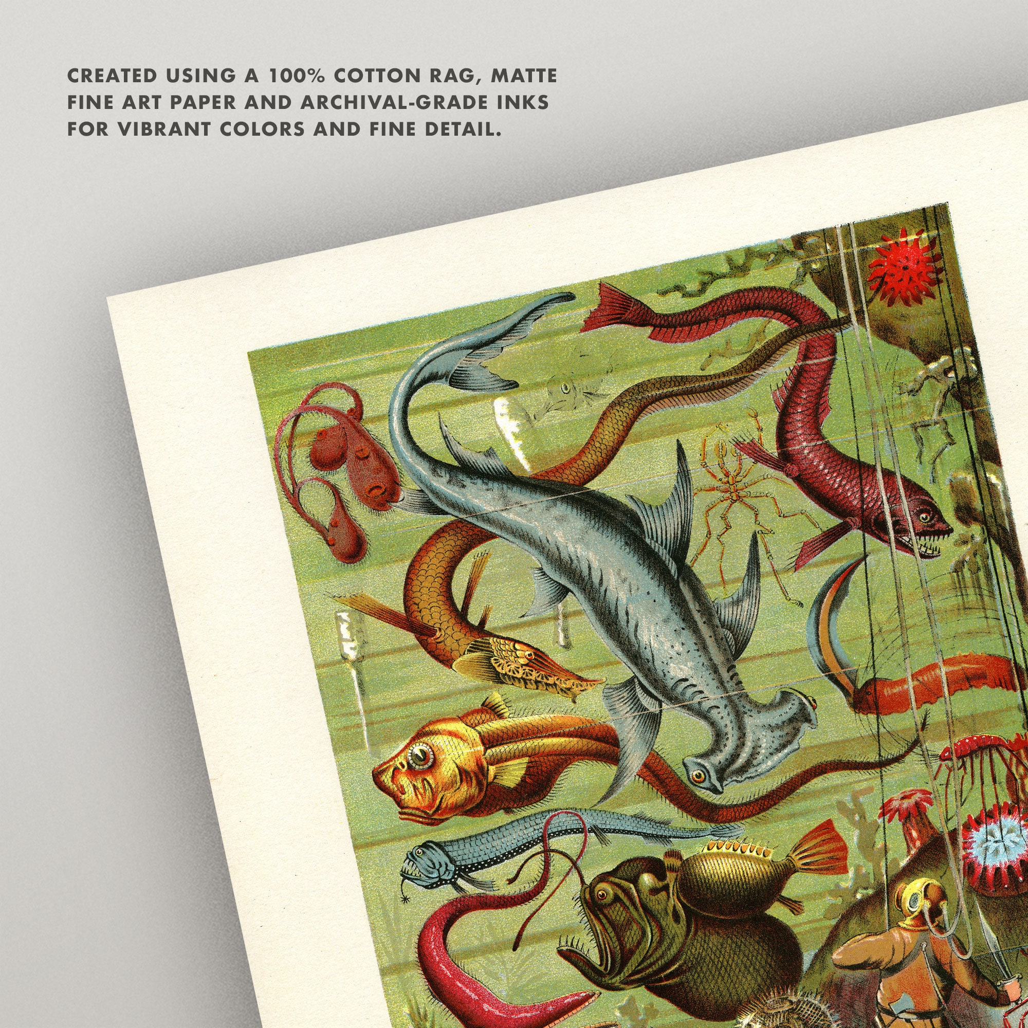 Scuba Diver Print • Antique Fish Wall Art • 5 Sizes! • Vintage Aquatic ...