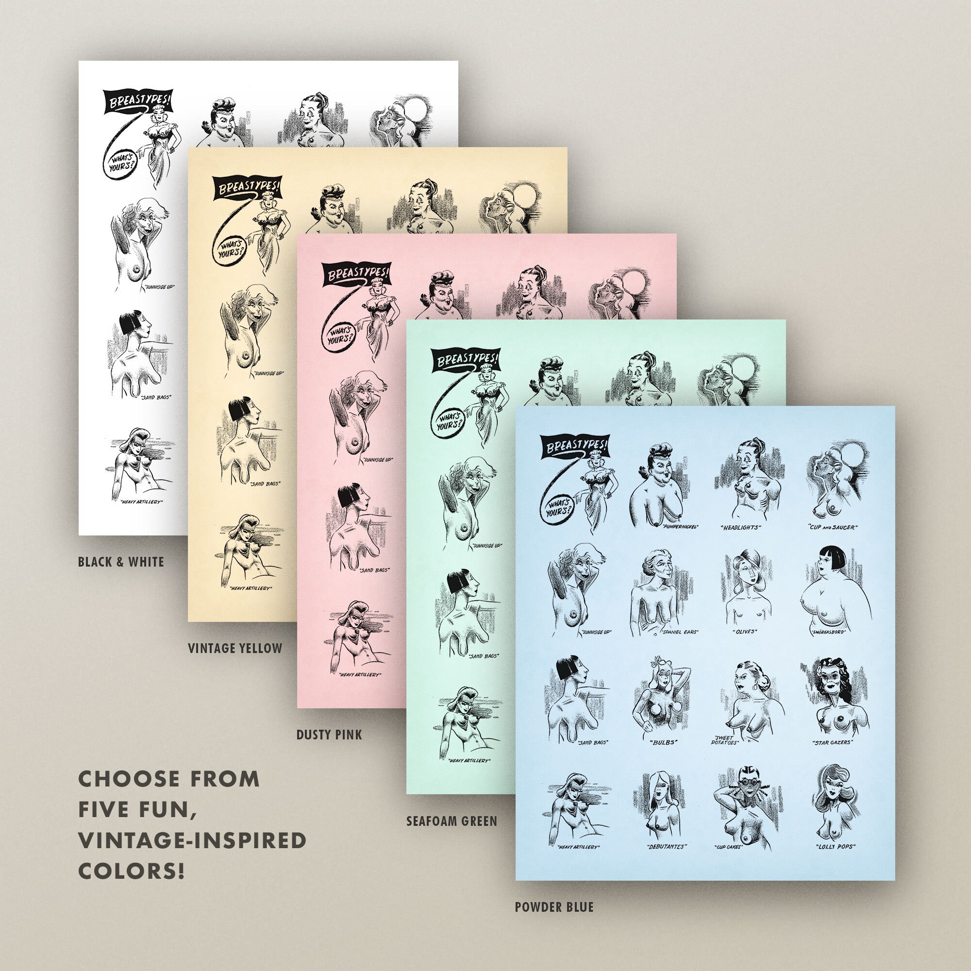 Boobs Breast Types Chart Fun Vintage Bathroom Print 4 Sizes Risque ...