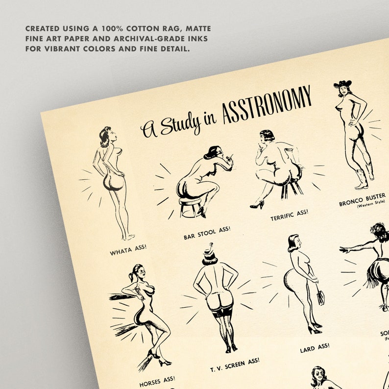A Study in ASS-tronomy Butt Shapes Print Vintage Ass Diagram Fun retro bathroom wall art Booty Bum Buttocks Derriere Fanny Tush image 4