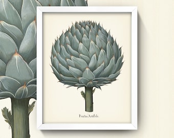 Artichoke Vintage Lithograph (c. 1613) - Giclee Fine Art Print