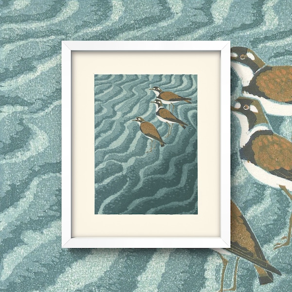 Vintage Plover Bird Print • Antique Beach Scene Illustration  • 4 Sizes! • Nautical Beach House Decor