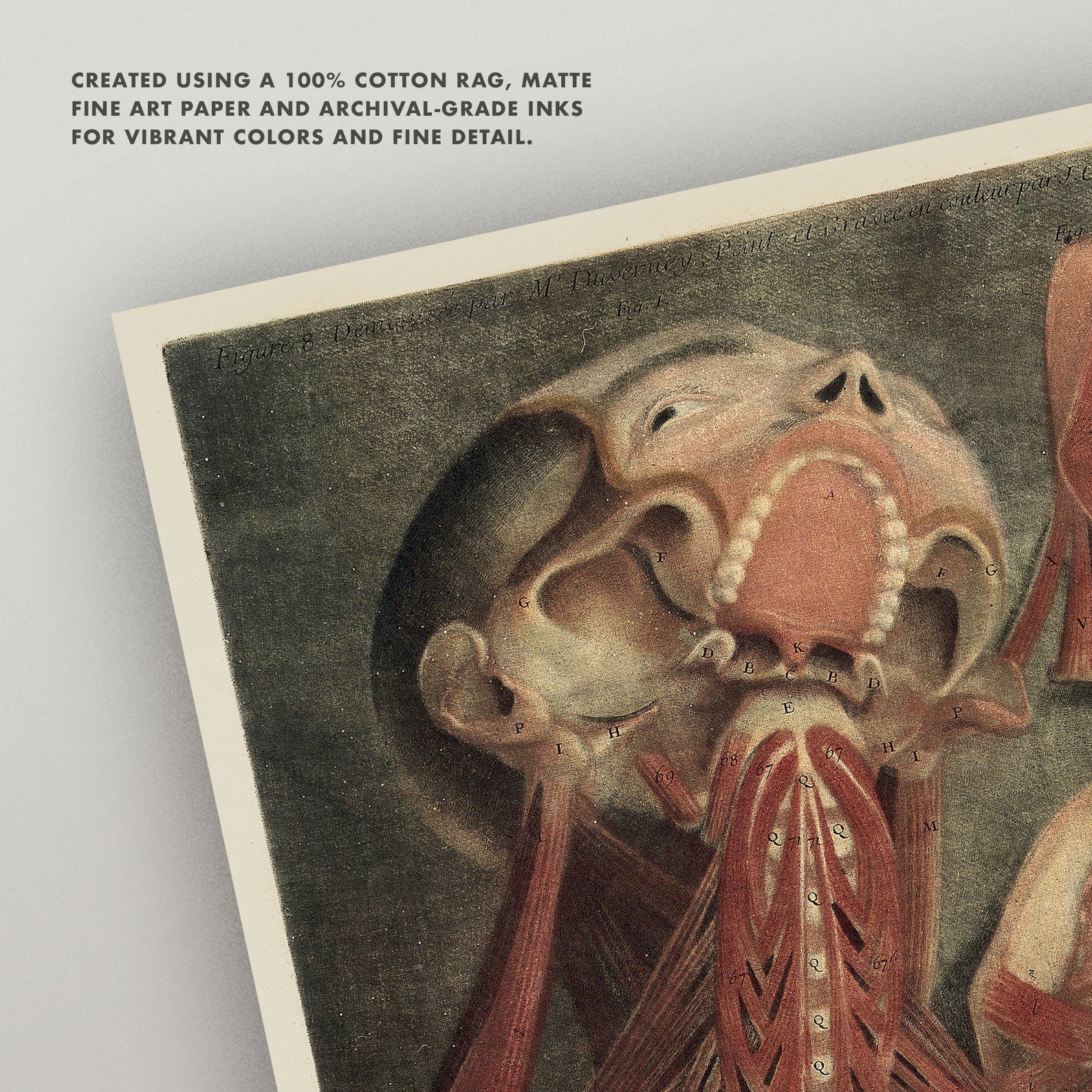 His and Hers Cadavers Antique Anatomy Wall Art Set of 2 Etsy