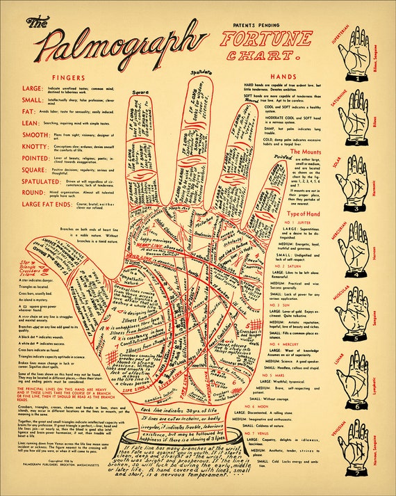 Palmistry Chart