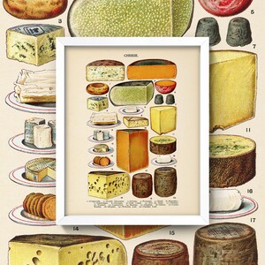 May include: A vintage illustration of different types of cheese. The image is labeled "CHEESE." and includes the names of each cheese type. The cheeses are arranged in rows and columns on a white background.