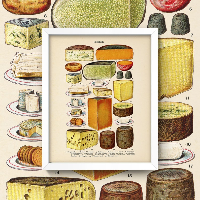 May include: A vintage illustration of different types of cheese. The image is labeled "CHEESE." and includes the names of each cheese type. The cheeses are arranged in rows and columns on a white background.