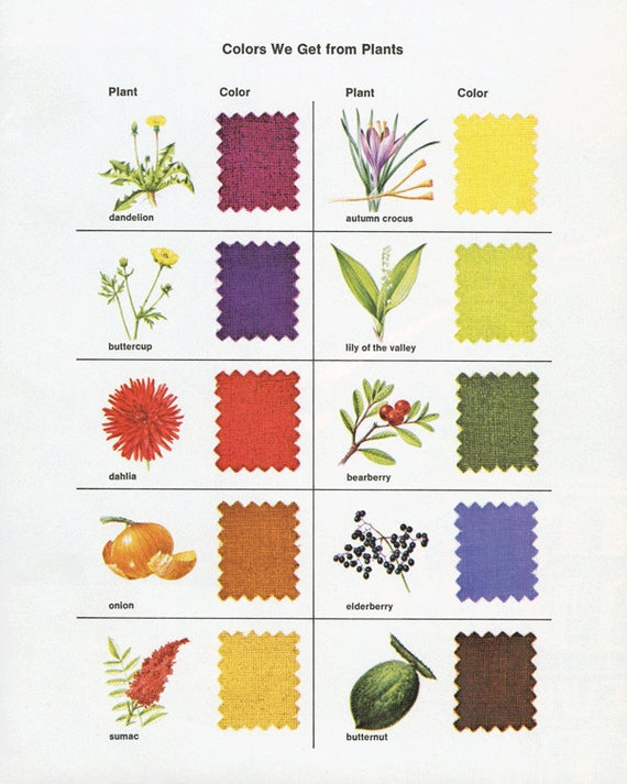 Plant Color Chart