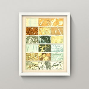 May include: A vintage chart of different types of marble, with 16 different samples shown. Each sample is labeled with its name in French. The chart is printed on a cream-colored paper with a white border.