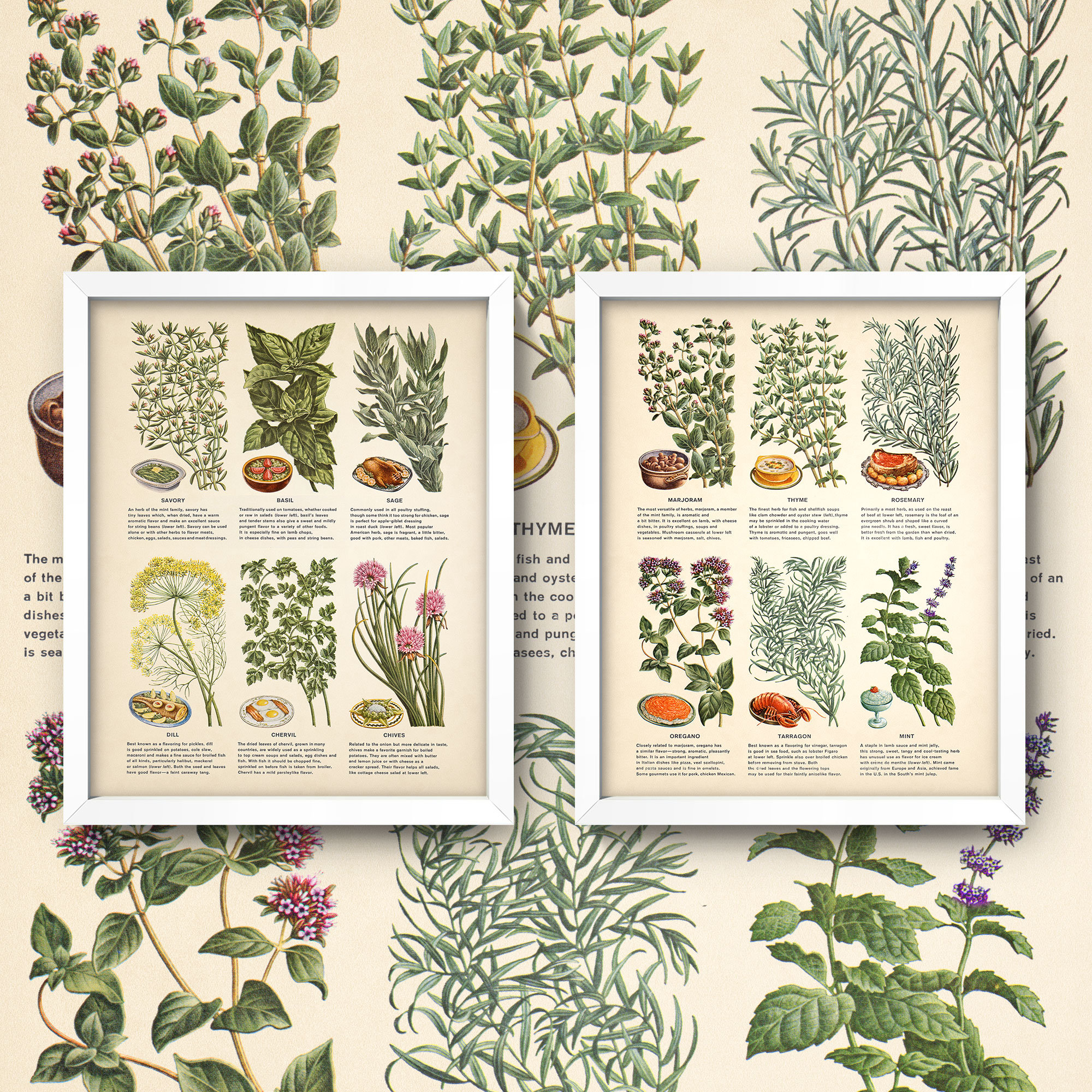 Herb Chart Print Set • 8x10 Kitchen Wall Art • Purchase