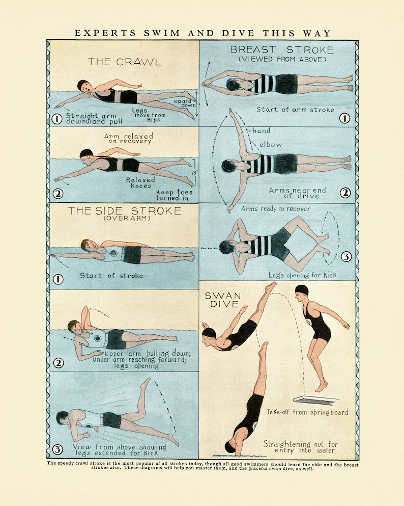 Antique Swimming Poster Vintage Swim and Diving Chart 3 Sizes How to Swim Print Swimmer Dive Pool Diving Chart Diagram Chart image 2