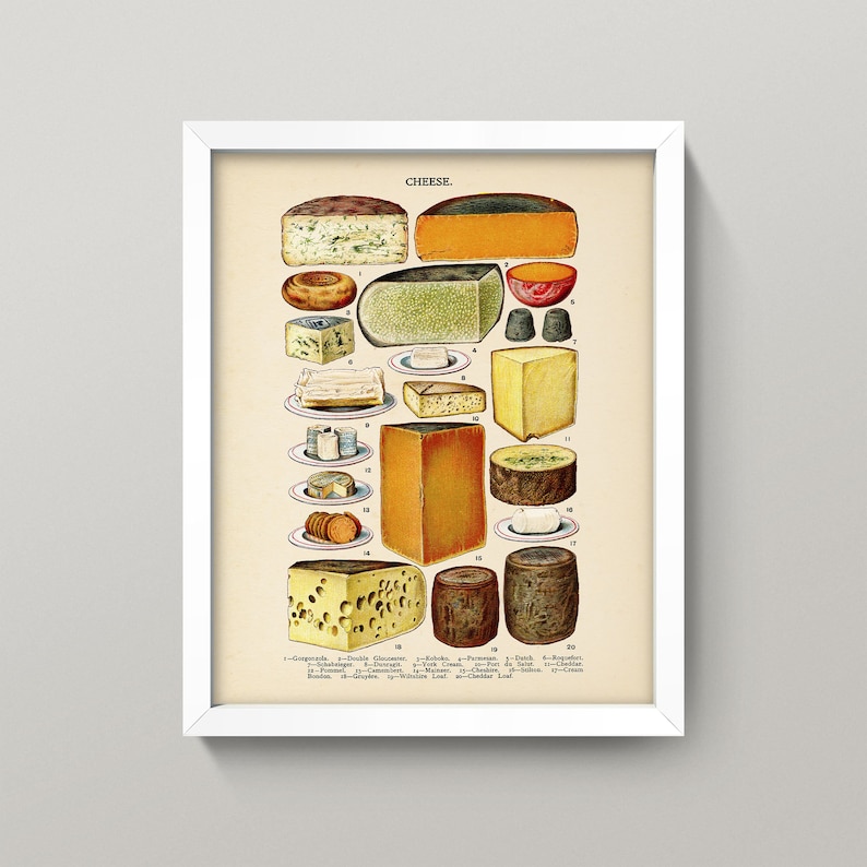 May include: A vintage illustration of different types of cheese, labeled with their names. The illustration features a variety of cheeses, including cheddar, Swiss, Gouda, and brie. The image is in a white frame.