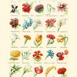 The Language of Flowers Antique Victorian Flower Diagram 4 Sizes ...