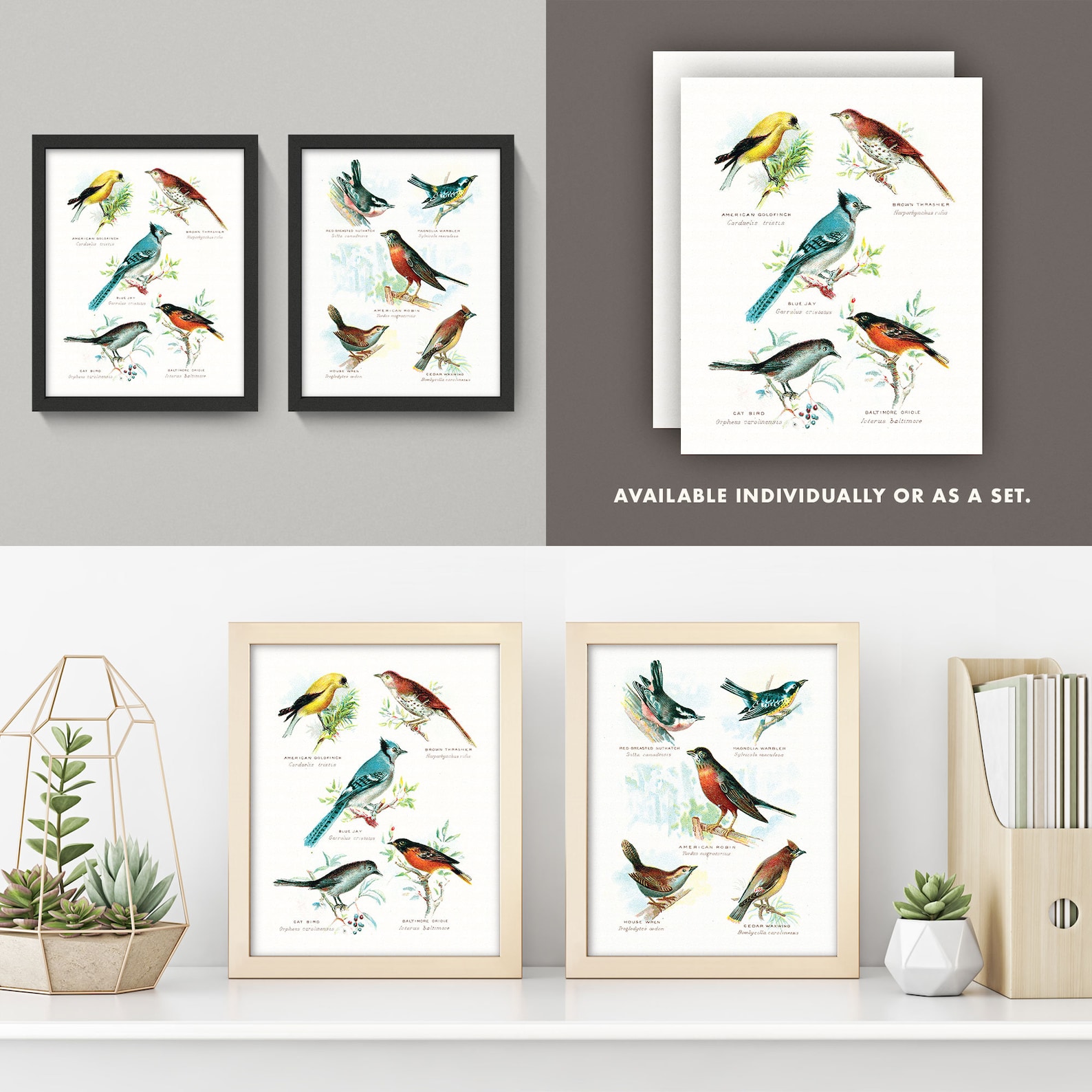 Vintage Birds Print Set Antique Bird Wall Art Set of 2 Etsy