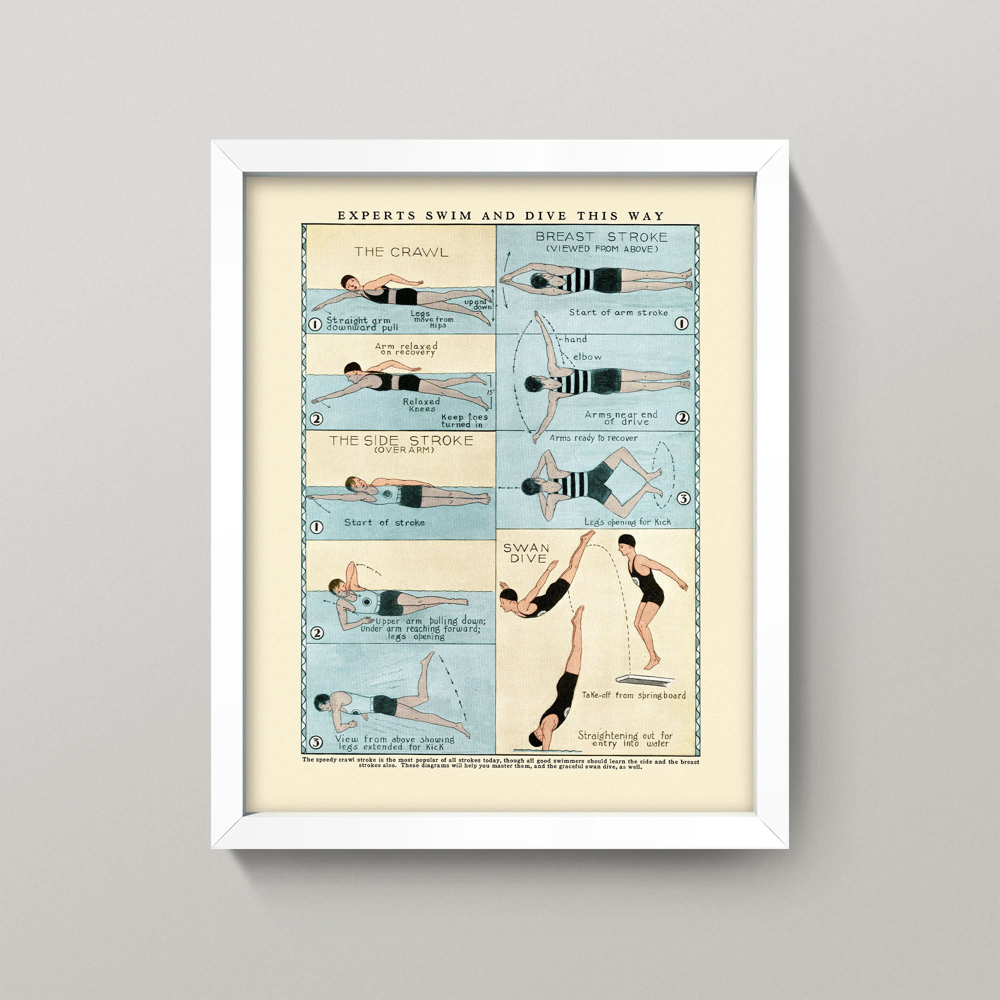 Retro boys swimming nude Antique Swimming Poster • Vintage Swim and Diving Chart • 3 Sizes! • How to  Swim Print • Swimmer Dive Pool Diving Chart Diagram Chart - Etsy 日本