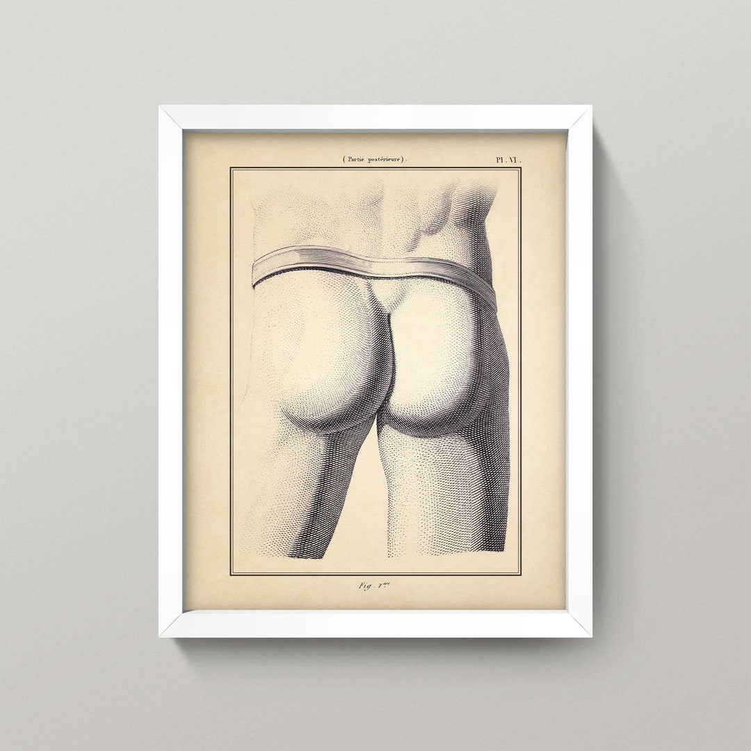 Male Butt Print Wall Art 8x10 Print Antique Medical