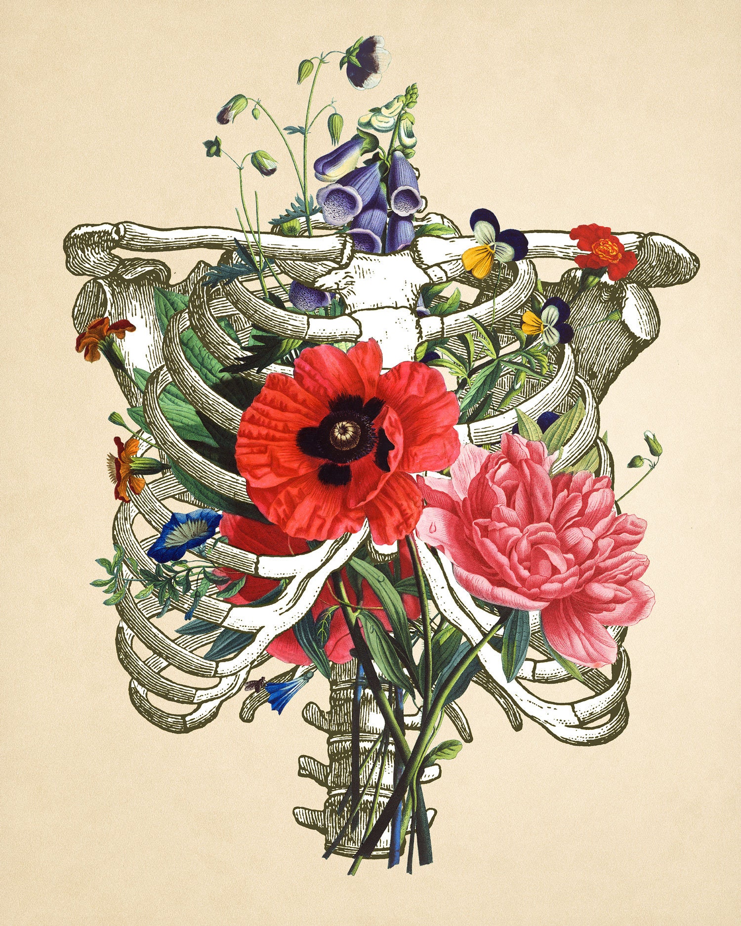 Rib Cage & Vintage Rib Cage and Flowers Collage 4 Sizes Etsy