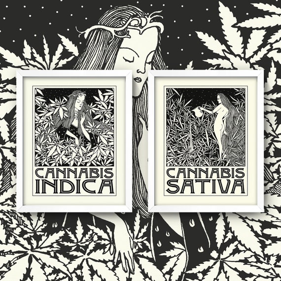 Indica and Sativa Prints • 5 Sizes • Cannabis Poster Indica and Sativa Prints • 5 Sizes • Cannabis Poster