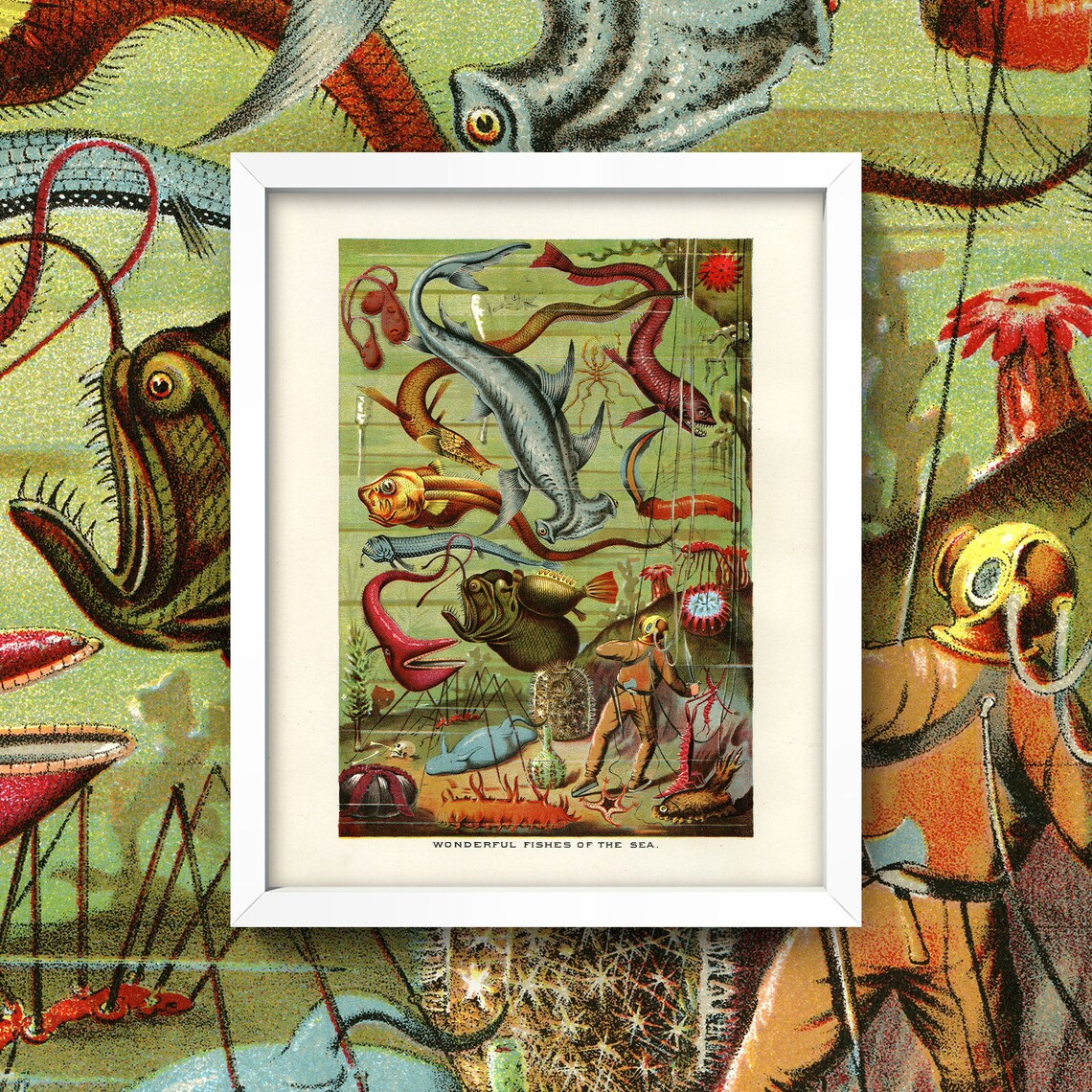Scuba Diver Print • Antique Fish Wall Art • 5 Sizes! • Vintage Aquatic ...
