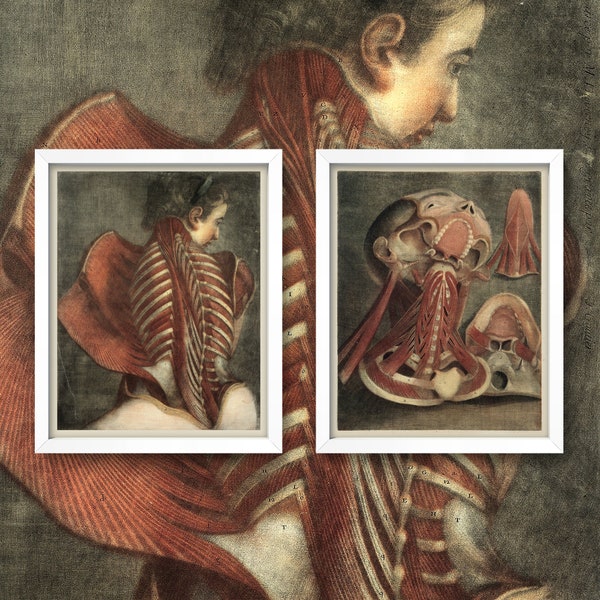His and Hers Cadavers • Antique Anatomy Wall Art • Set of 2 8X10 Prints • Vintage Medical Diagrams Charts Goth Art Diptych