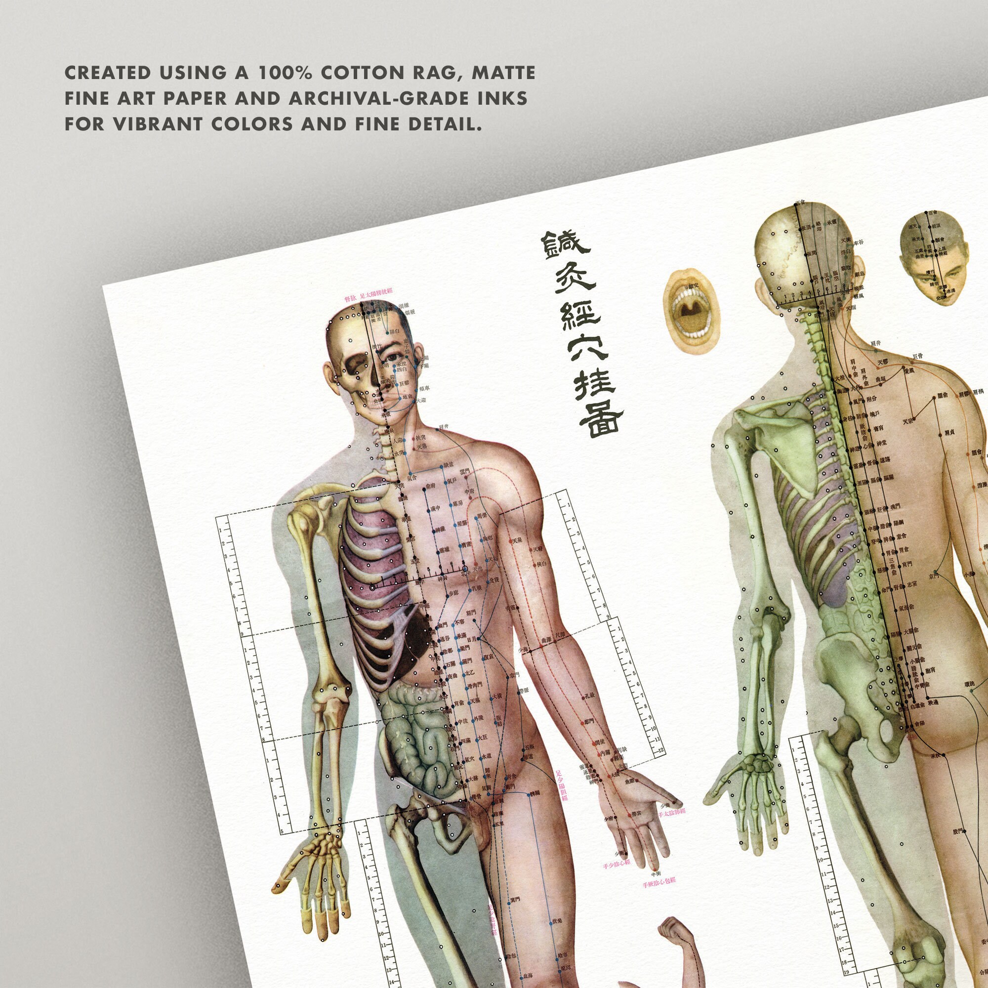 Acupuncture Chart Print Choose From 5 Sizes Vintage Etsy Australia