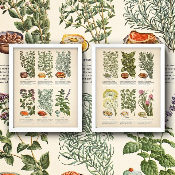 Herb And Spice Wall Chart