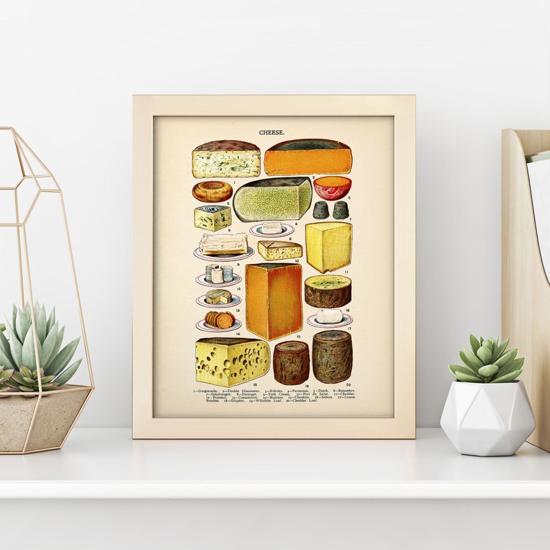 May include: Vintage illustration of different types of cheese. The image features a variety of cheeses, including cheddar, Swiss, and brie. The cheeses are arranged in a grid pattern on a white background. The image is labeled "CHEESE".