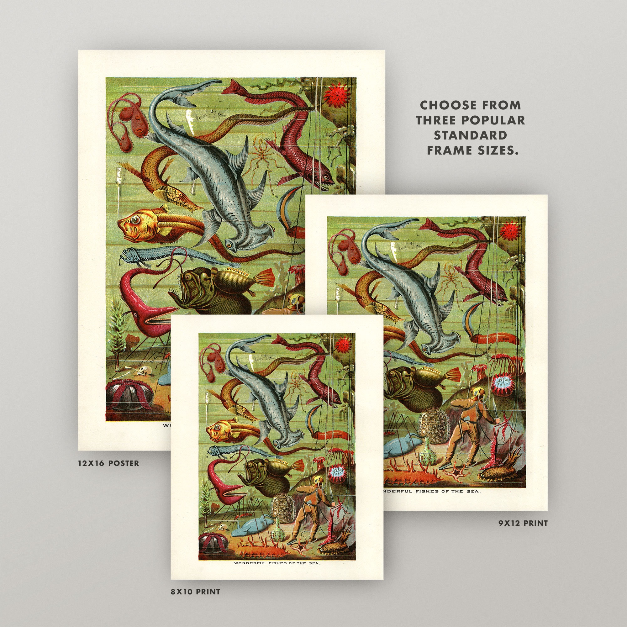 Scuba Diver Print • Antique Fish Wall Art • 5 Sizes! • Vintage Aquatic ...