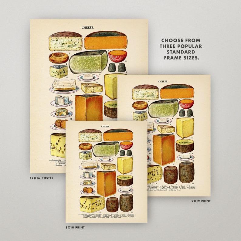 May include: Vintage illustration of different types of cheese, including cheddar, Swiss, and blue cheese. The image is divided into three sections, each with a different size: 12x16 poster, 9x12 print, and 8x10 print. The text "Choose from three popular standard frame sizes." is included in the image.