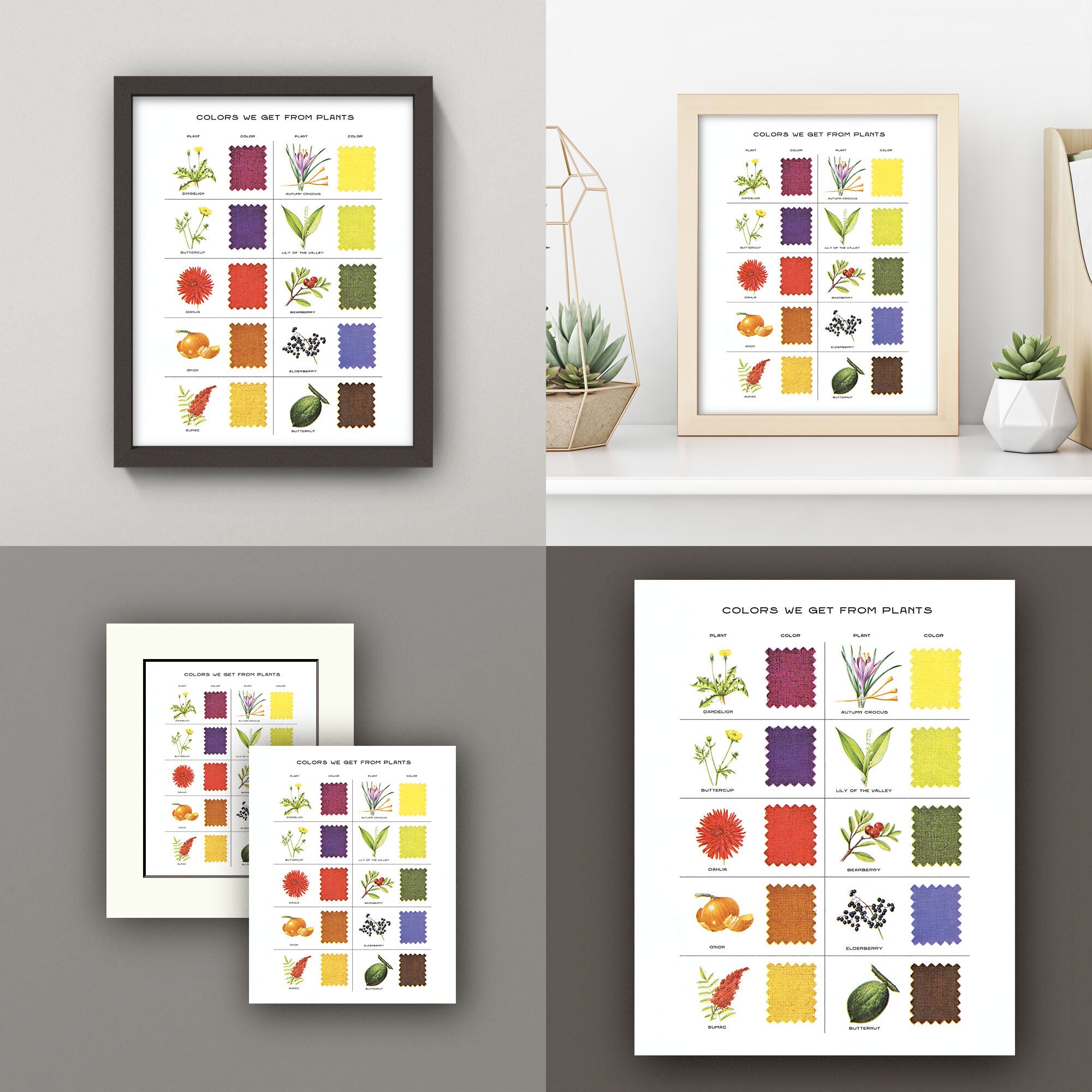 Plant Color Code Chart Natural Dyes Color Chart • Vintage Plant Color Print • 8X10 Print ...
