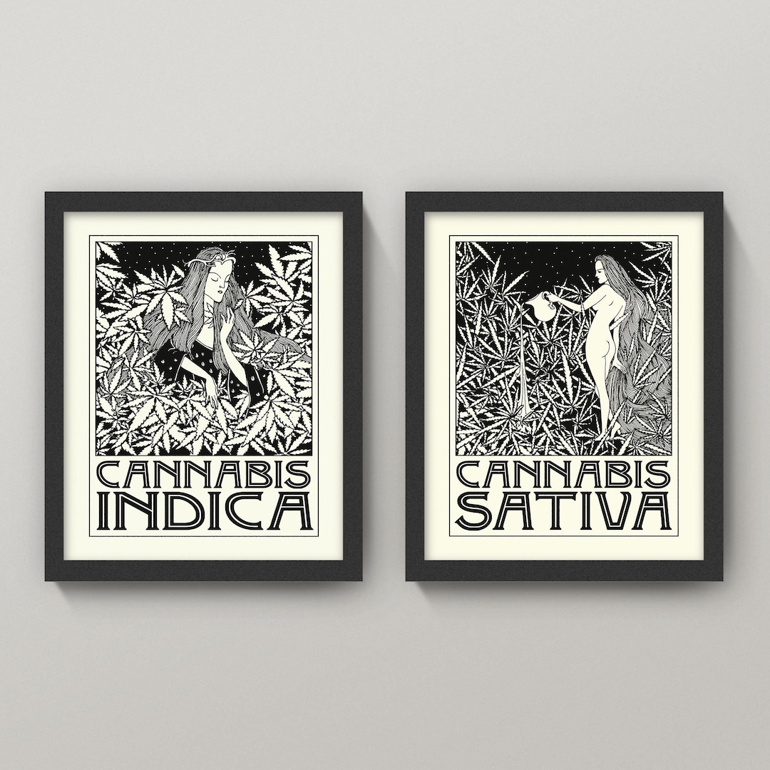 Indica and Sativa Prints • 5 Sizes • Cannabis Poster • Marijuana Prints ...