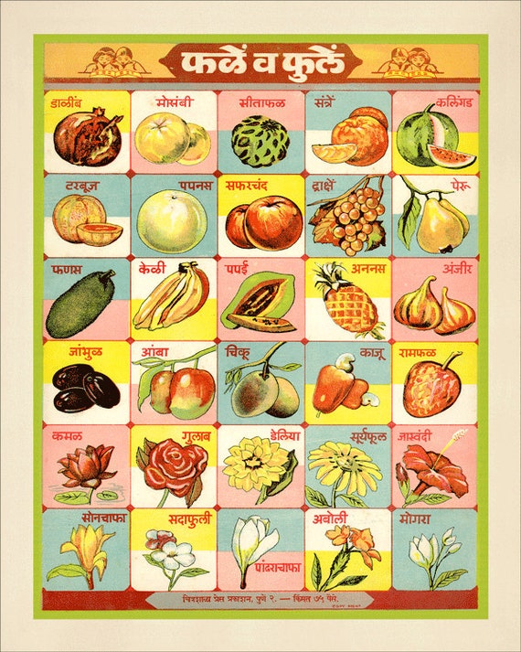 Fruit Chart In Hindi