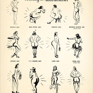 A Study in ASS-tronomy Butt Shapes Print Vintage Ass Diagram Fun retro bathroom wall art Booty Bum Buttocks Derriere Fanny Tush image 2