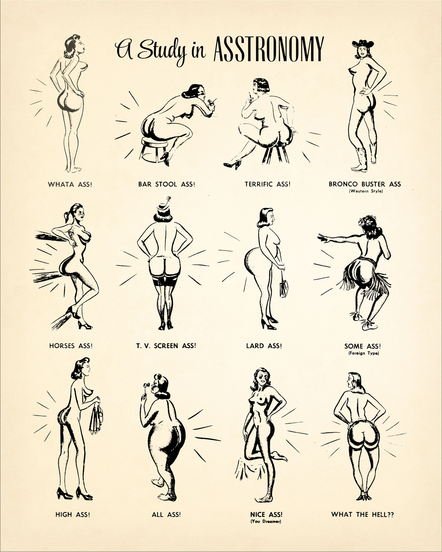 ass A Study in ASS-tronomy • Butt Shapes Print • Vintage Ass Diagram • Fun  retro bathroom wall art • Booty Bum Buttocks Derriere Fanny Tush! - Etsy 日本