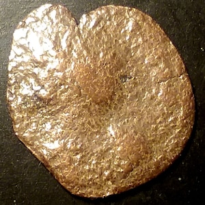Ancient Roman Coin Authentic 1700 to 1800 years old. Antique Vintage authentic U.S. Coin 1.00 Shipping
