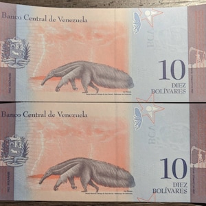 Crisp Pair of Uncirculated Republica Bolivariana De Venezuela Consecutive Diez 10 Bolivares Vintage Bear Banknotes Currency