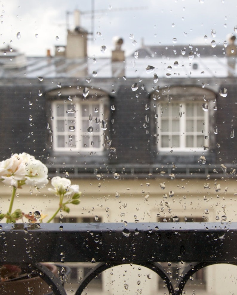 Вид из окна дома дождь