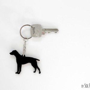 Könnte beinhalten: Schwarzer Silhouetten-Schlüsselanhänger eines Deutsch Kurzhaar Hundes, befestigt an einem silbernen Schlüsselring und Schlüssel.