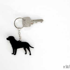 May include: Black silhouette of a Labrador Retriever dog on a silver key ring. The keyring is attached to a silver key.