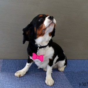 Hundemarke mit Fliege - Personalisierte Haustier ID, Haustier Accessoire