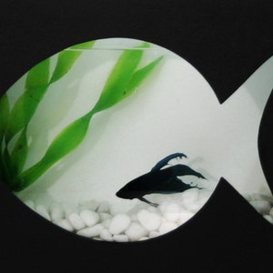 Modern Betta Fish Tank Aquarium Desktop aquarium or Wall Mounted Fish Aquarium image 3