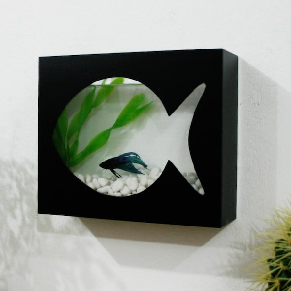 Acuario moderno con pecera Betta: acuario de escritorio o acuario de peces montado en la pared