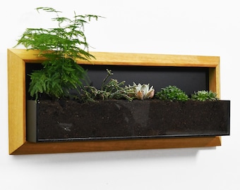 The "Living Frame" - Iroko Wood Planter