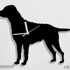 May include: Black silhouette wall clock in the shape of a Curly Coated Retriever dog. The clock features white clock hands and the text "Curly Coated Retriever" at the bottom. The clock is mounted on a white wall.