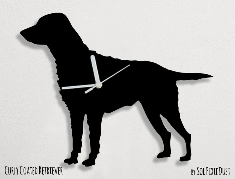 May include: Black silhouette wall clock in the shape of a Curly Coated Retriever dog. The clock features white clock hands and the text "Curly Coated Retriever" at the bottom. The clock is mounted on a white wall.