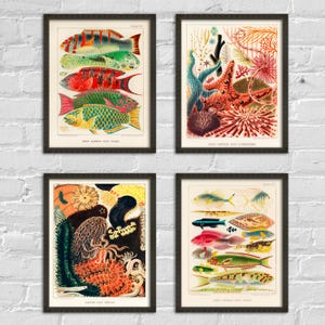 Grafika z motywem rafy koralowej w stylu vintage, sztuka ścienna z rybami tropikalnymi, wystrój domu w stylu nadmorskim, ilustracja życia morskiego, zestaw 4 grafik