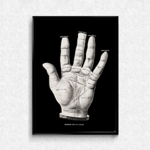 May include: Black framed print featuring a detailed illustration of a palm with labeled lines and areas. The grayscale image includes text such as "Will," "Logic," and "Line of Head." The print has a vintage aesthetic, suitable for home decor.