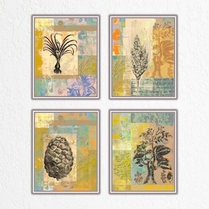 Botanische Wandkunst: Natur, Pflanzen, Gras, Blumen, Florale abstrakte Collage Poster, Kräuterkunst Vintage, neutrales Dekor, 4er-Set Prints